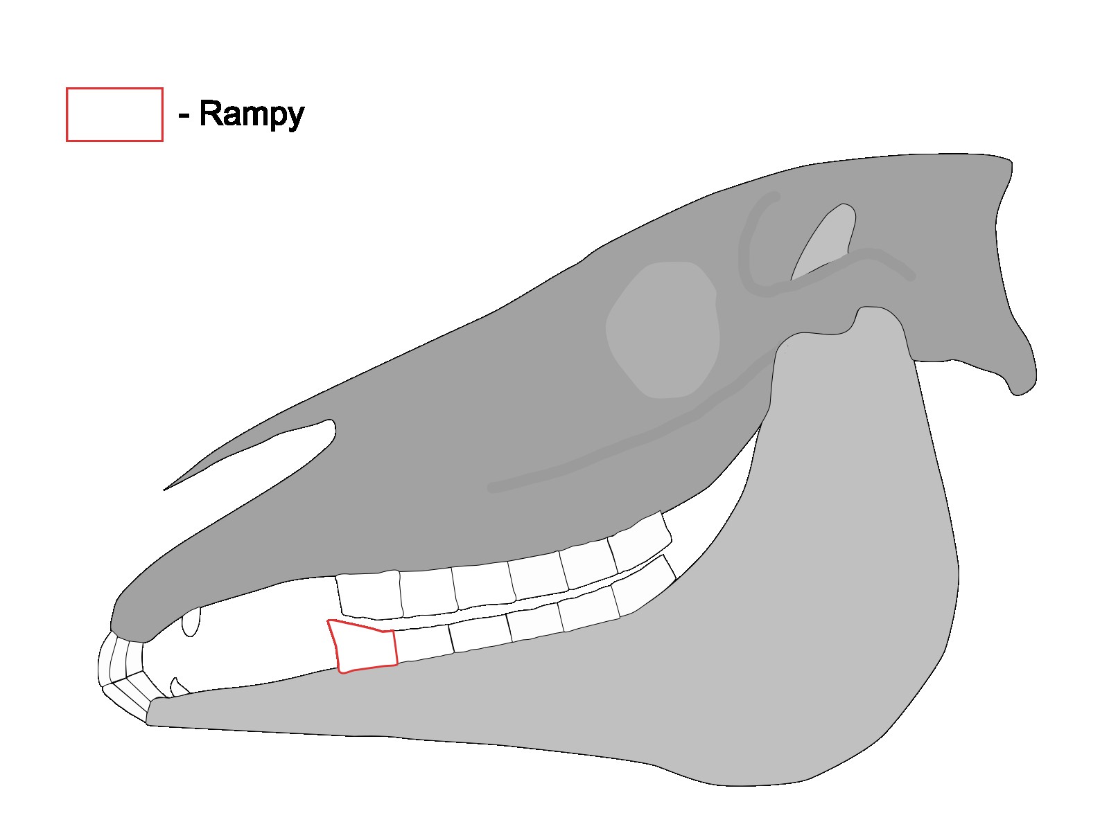 Zęby konia - rampy Zęby konia - przedstawiono rampy